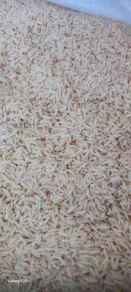 برنج دم سیاه ایرانی کلات در گروه خرید و فروش خدمات و کسب و کار در خراسان رضوی در شیپور-عکس1