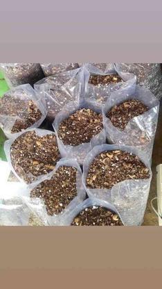 خاک گل خاک گلدان .خاکبرگ در گروه خرید و فروش خدمات و کسب و کار در مازندران در شیپور-عکس1