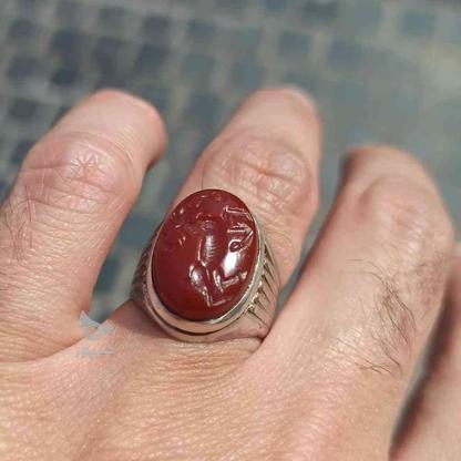 انگشتر نقره زیبا و چشمگیر در گروه خرید و فروش لوازم شخصی در گیلان در شیپور-عکس1