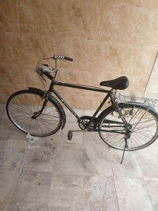 فروش دوچرخه فونیکس اصل بسیار تمیز در گروه خرید و فروش ورزش فرهنگ فراغت در مازندران در شیپور-عکس1
