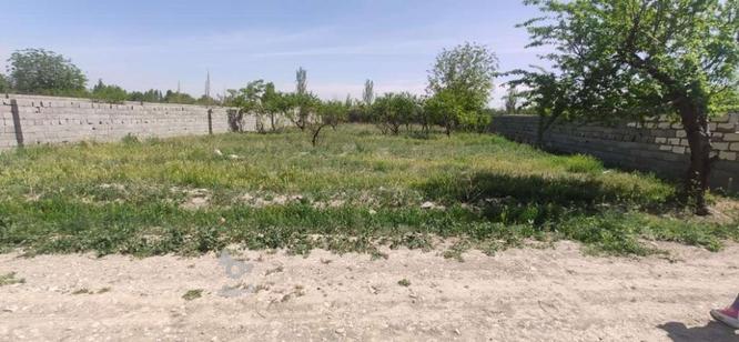 فروش زمین 1000 متری ایقربلاغ در گروه خرید و فروش املاک در البرز در شیپور-عکس1