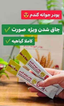 جوانه گندم حاوی ویتامین ه در گروه خرید و فروش خدمات و کسب و کار در کرمان در شیپور-عکس1