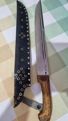 چاقو کلکسیونی طول 45 سانت. در گروه خرید و فروش ورزش فرهنگ فراغت در البرز در شیپور-عکس1