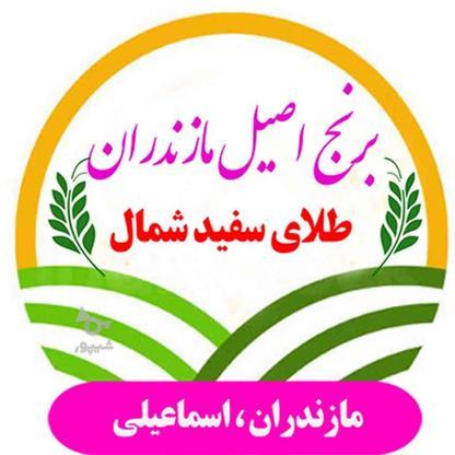 فروش برنج شمال در گروه خرید و فروش خدمات و کسب و کار در اصفهان در شیپور-عکس1