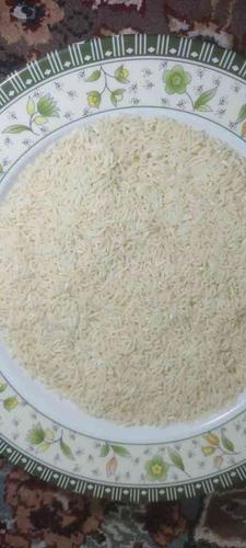 برنج هاشمی کشت اول