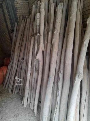 فروش چوب برای زیر سقف و غیره در گروه خرید و فروش خدمات و کسب و کار در فارس در شیپور-عکس1