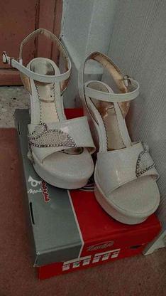 کفش مجلسی سایز 38 در گروه خرید و فروش لوازم شخصی در زنجان در شیپور-عکس1