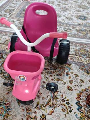 فروش سه چرخه نو کودک در گروه خرید و فروش ورزش فرهنگ فراغت در مازندران در شیپور-عکس1