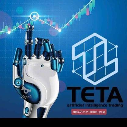 ربات تریدر تتا سود ماهانه 30 تا 80 درصد،بستگی به سرمایه دارد در گروه خرید و فروش خدمات و کسب و کار در آذربایجان غربی در شیپور-عکس1