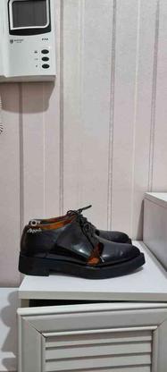 کفش نو چرم وحید 38 در گروه خرید و فروش لوازم شخصی در تهران در شیپور-عکس1