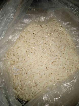برنج طارم هاشمی در گروه خرید و فروش خدمات و کسب و کار در مازندران در شیپور-عکس1