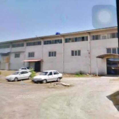 فروش صنعتی 3000 متر در دابودشت در گروه خرید و فروش املاک در مازندران در شیپور-عکس1