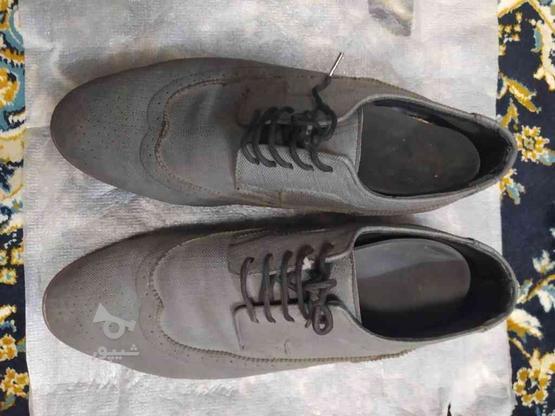 کفش مجلسی مردانه در گروه خرید و فروش لوازم شخصی در مازندران در شیپور-عکس1