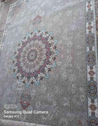 فرش 12متری شمس العماره در گروه خرید و فروش لوازم خانگی در اصفهان در شیپور-عکس1