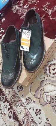 کفش سایز 40مجلسی شیک در گروه خرید و فروش لوازم شخصی در سمنان در شیپور-عکس1