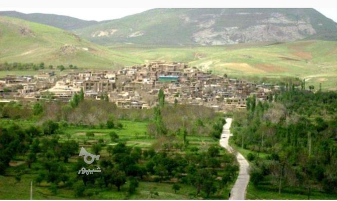 1200 متر زمین در روستای اردبیلک قزوین در گروه خرید و فروش املاک در قزوین در شیپور-عکس1
