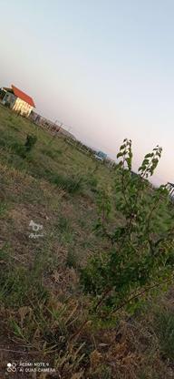 باغ 5000 2000 1000با آب چسب جاده صومعه کبودین ترک در گروه خرید و فروش املاک در آذربایجان شرقی در شیپور-عکس1