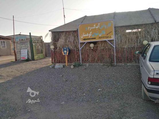فروش کارواش و قالی شویی و مغازه در گروه خرید و فروش املاک در کرمان در شیپور-عکس1