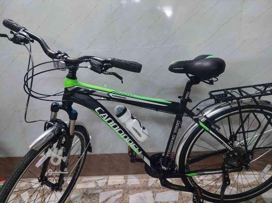 دوچرخه کنندل مدل f1 کاملا نو (زیر قیمت) در گروه خرید و فروش ورزش فرهنگ فراغت در مازندران در شیپور-عکس1