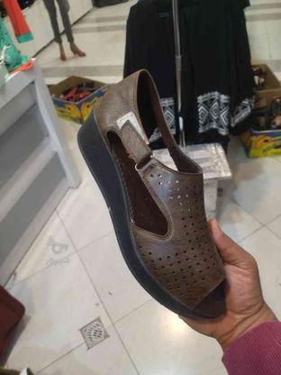 کفش های تمام چرم صنعتی تبریز ازدرب کارخانه به دست مصرف کننده در گروه خرید و فروش لوازم شخصی در کرمانشاه در شیپور-عکس1