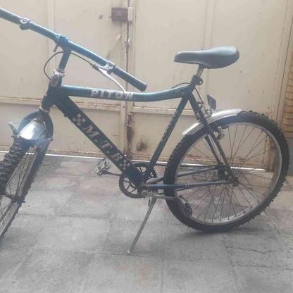 دوچرخه پیتون سرحال و سالم. در گروه خرید و فروش ورزش فرهنگ فراغت در خوزستان در شیپور-عکس1