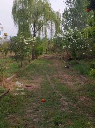 فروش زمین مسکونی 3700 متر در الیمالات در گروه خرید و فروش املاک در مازندران در شیپور-عکس1