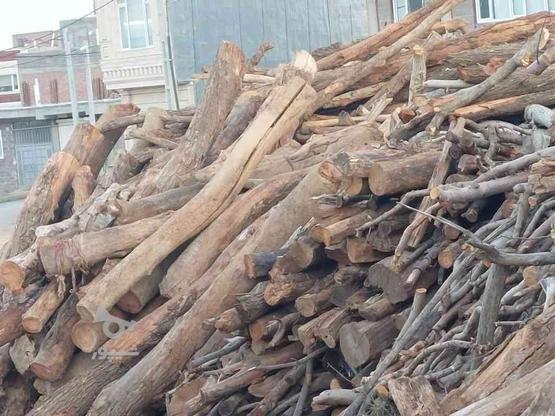 خرید انواع چوب بهترین قیمت نقدی در گروه خرید و فروش خدمات و کسب و کار در کردستان در شیپور-عکس1