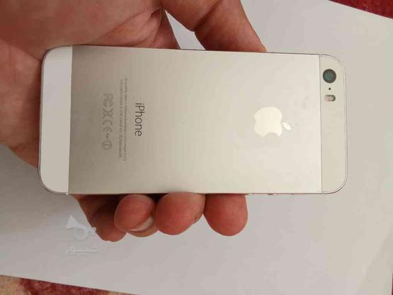 گوشی iPhone 5s 64 درحد نو کار نکرده در گروه خرید و فروش موبایل، تبلت و لوازم در تهران در شیپور-عکس1