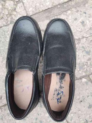 کفش راحتی مردانه 42 در گروه خرید و فروش لوازم شخصی در آذربایجان شرقی در شیپور-عکس1
