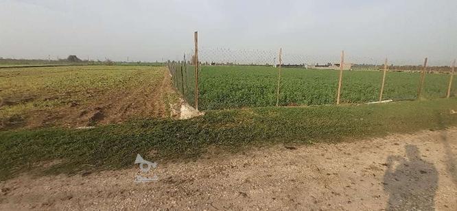 معاوضه ویا فروش زمین کشاورزی در گروه خرید و فروش املاک در مازندران در شیپور-عکس1