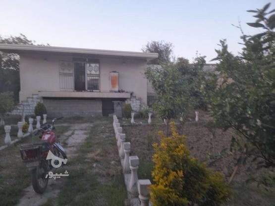 زمین خونه باغی در گروه خرید و فروش املاک در مازندران در شیپور-عکس1