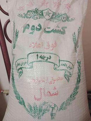 برنج اصل مازندران در گروه خرید و فروش خدمات و کسب و کار در آذربایجان غربی در شیپور-عکس1