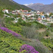 فروش زمین مسکونی 150 متر در ییلاق نمارستاق عبدالمناف