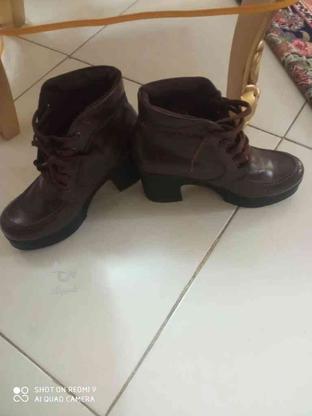 کفش چرم در حد نو ولی دو سه بار پوشیده شده جنس عالی در گروه خرید و فروش لوازم شخصی در تهران در شیپور-عکس1