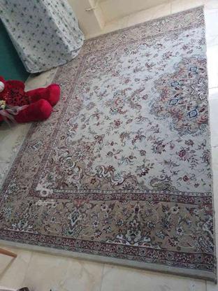 فرش 12 متری کاملا سالم در گروه خرید و فروش لوازم خانگی در مازندران در شیپور-عکس1