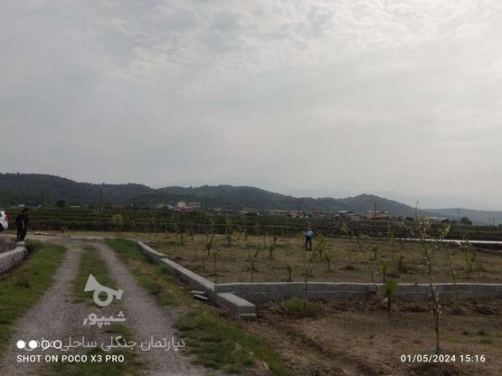 150متر زمین جنگلی ویو ابدی در گروه خرید و فروش املاک در مازندران در شیپور-عکس1