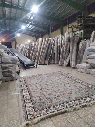 فرش15/12/6/9/4 متری زرگر محله در گروه خرید و فروش لوازم خانگی در مازندران در شیپور-عکس1