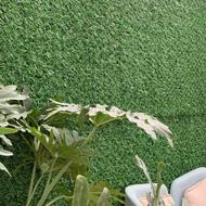 دیوار پوش یا گرین وال حدود 8 متر اقتصادی