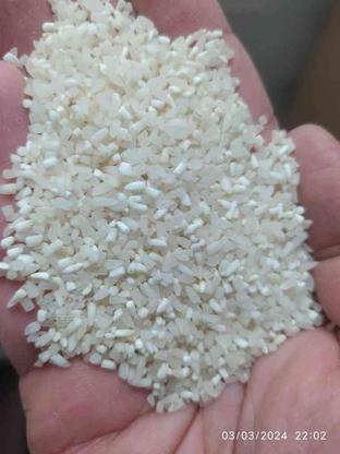 برنج نیمدانه فجر در گروه خرید و فروش خدمات و کسب و کار در گلستان در شیپور-عکس1