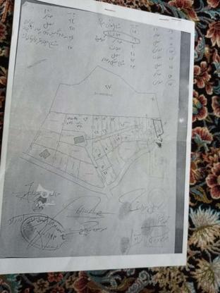 فروش زمین مسکونی 234 متری خانه سرا بابت ساخت ویلا در گروه خرید و فروش املاک در مازندران در شیپور-عکس1
