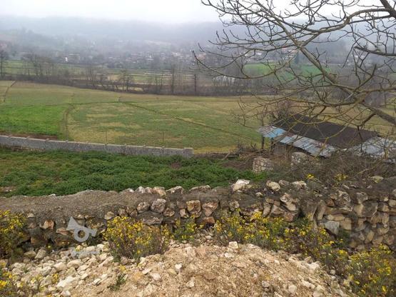 زمین ویلایی با مجوز ساخت در گروه خرید و فروش املاک در مازندران در شیپور-عکس1