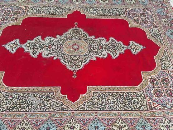 فرش و قالی در گروه خرید و فروش لوازم خانگی در فارس در شیپور-عکس1