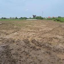 5500 متر زمین مزروعی نزدیک اتوبان رشت لاهیجان