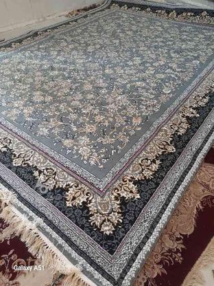 فرش(قالی) 12متری در گروه خرید و فروش لوازم خانگی در خوزستان در شیپور-عکس1