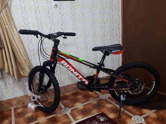دوچرخه سالم نو نو در گروه خرید و فروش ورزش فرهنگ فراغت در مازندران در شیپور-عکس1