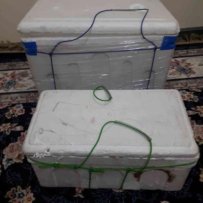 جعبه های جا یخی در گروه خرید و فروش لوازم خانگی در تهران در شیپور-عکس1