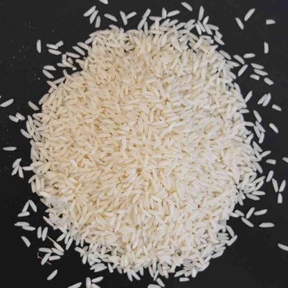 فروش انواع برنج های ایرانی نقد و چک و ضمانت در گروه خرید و فروش خدمات و کسب و کار در مازندران در شیپور-عکس1
