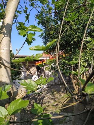 خانه ویلایی با حیاط و محیط دلچسب در گروه خرید و فروش املاک در گیلان در شیپور-عکس1