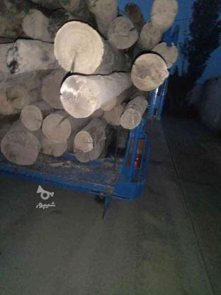 خرید انواع چوب و درخت در گروه خرید و فروش صنعتی، اداری و تجاری در زنجان در شیپور-عکس1