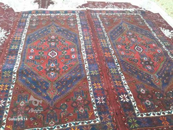 فرش قالیچه دست بافت در گروه خرید و فروش لوازم خانگی در زنجان در شیپور-عکس1